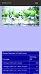 Mobile Screenshot of coloradocarriage.com